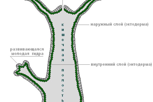 Кракен вход официальный сайт